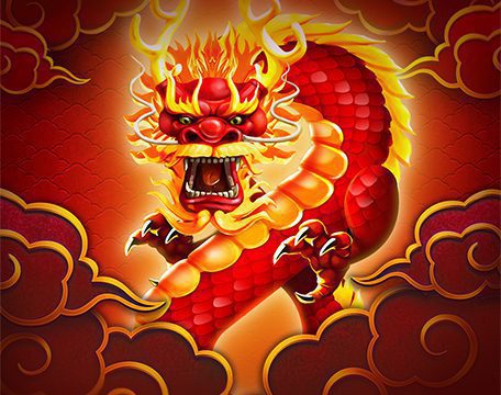 Dragon 8s 25x